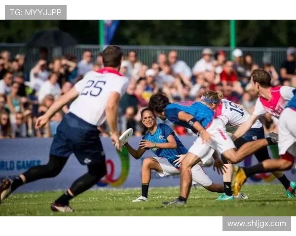 专访杨强：探讨飞盘运动崛起背后的秘密与成功因素